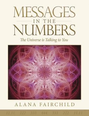 bokomslag Messages in the Numbers