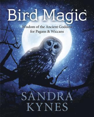 Sandra Kynes - Bird Magic: Wisdom of the Ancient Goddess for Pagans & Wiccans, Häftad