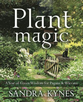 Sandra Kynes - Plant Magic: A Year of Green Wisdom for Pagans & Wiccans, Häftad
