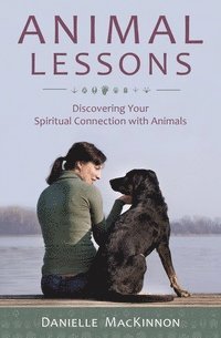 bokomslag Animal Lessons