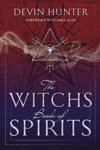 bokomslag Witch's Book of Spirits