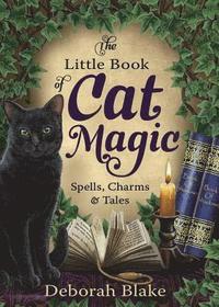 bokomslag The Little Book of Cat Magic