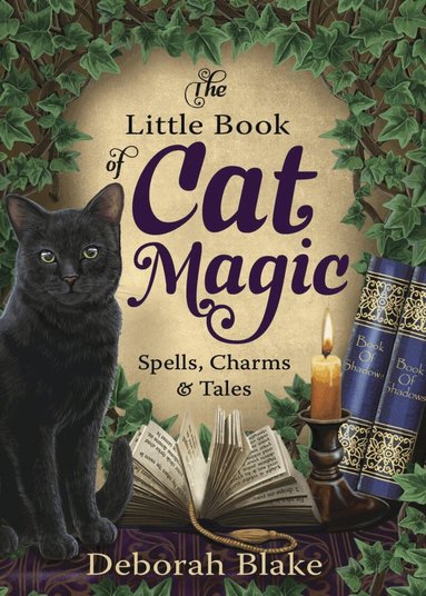 Deborah Blake - Little Book of Cat Magic, Häftad