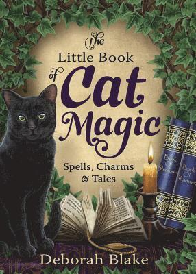 Deborah Blake - Little Book of Cat Magic, Häftad