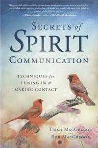 bokomslag Secrets of Spirit Communication