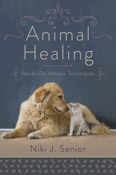 bokomslag Animal Healing