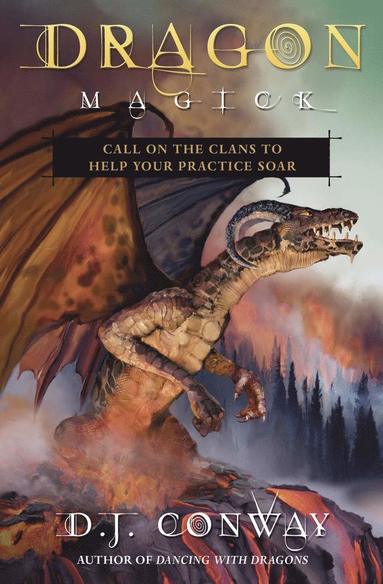 bokomslag Dragon Magick