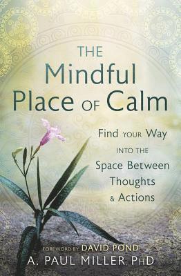 A. Paul Miller - The Mindful Place of Calm, Häftad