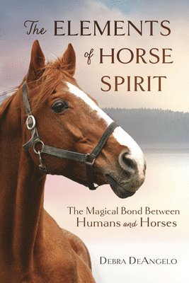 The Elements of Horse Spirit 1