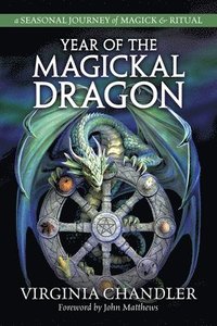 bokomslag Year of the Magickal Dragon