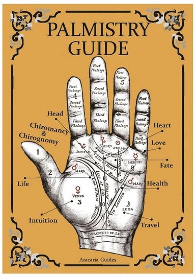 bokomslag Palmistry Guide