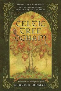 bokomslag Celtic Tree Ogham