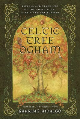 bokomslag Celtic Tree Ogham