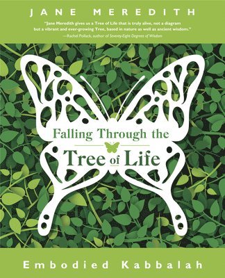 Jane Meredith - Falling Through the Tree of Life, Häftad