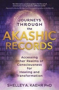 bokomslag Journeys through the Akashic Records