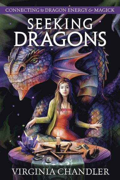 bokomslag Seeking Dragons