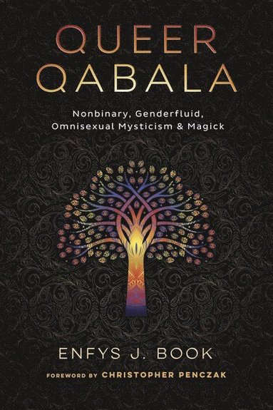 bokomslag Queer Qabala