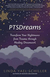 bokomslag PTSDreams