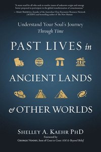 bokomslag Past Lives in Ancient Lands & Other Worlds