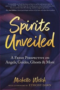 bokomslag Spirits Unveiled
