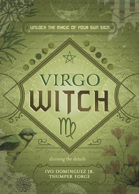 bokomslag Virgo Witch