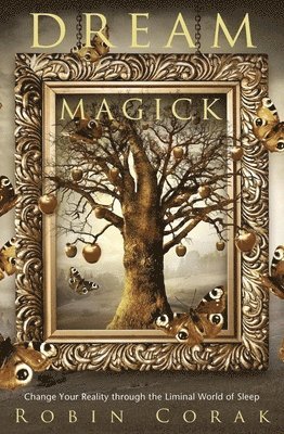 bokomslag Dream Magick