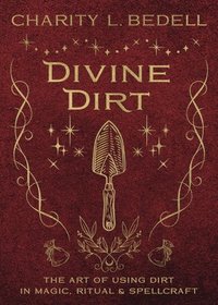 bokomslag Divine Dirt