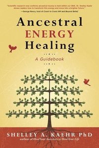 bokomslag Ancestral Energy Healing