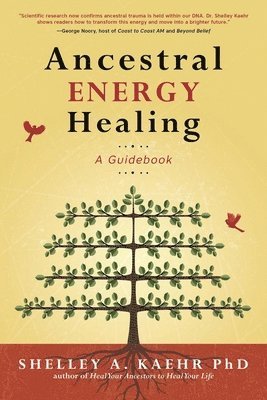 bokomslag Ancestral Energy Healing