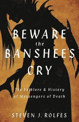 Steven J. Rolfes, Steven J Rolfes - Beware the Banshee's Cry, Häftad