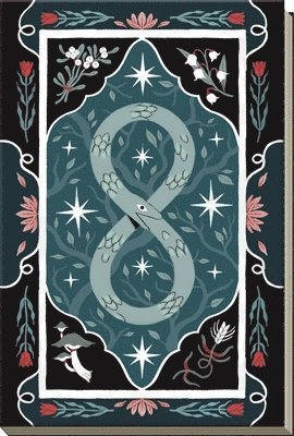 bokomslag Wicked Moon Journal