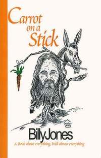 bokomslag Carrot on a Stick