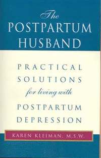 bokomslag The Postpartum Husband
