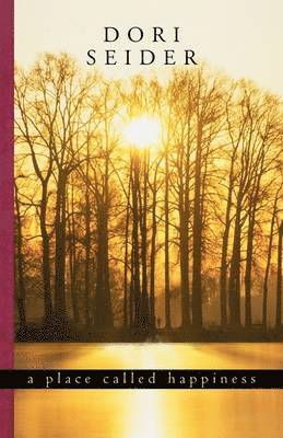 Dori Seider - Place Called Happiness, Häftad