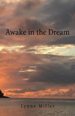 Lynne Miller - Awake in the Dream, Häftad
