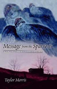 bokomslag Message from the Sparrows