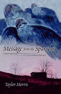 Taylor Morris - Message from the Sparrows, Häftad