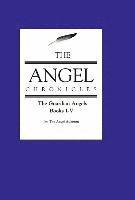 The Angel Chronicles 1