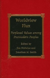 bokomslag Worldview Flux