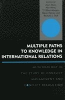 bokomslag Multiple Paths to Knowledge in International Relations