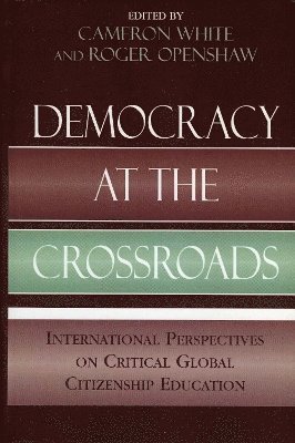 bokomslag Democracy at the Crossroads