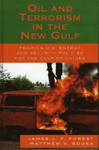 bokomslag Oil and Terrorism in the New Gulf