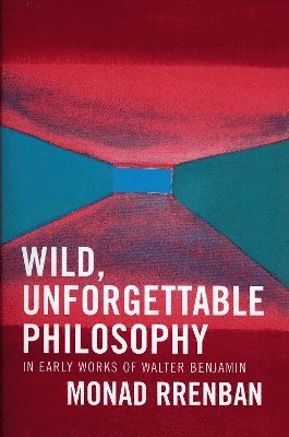 bokomslag Wild, Unforgettable Philosophy