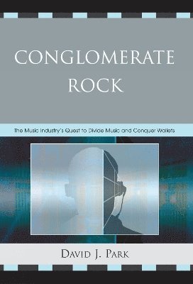 Conglomerate Rock 1