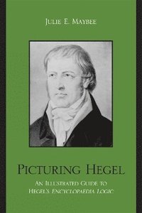 bokomslag Picturing Hegel
