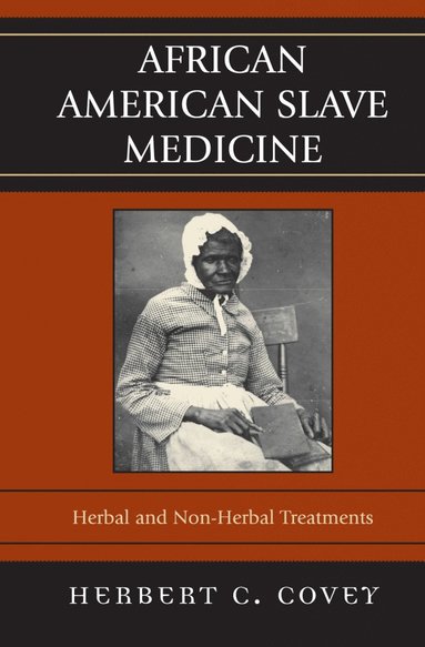 bokomslag African American Slave Medicine