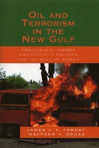 bokomslag Oil and Terrorism in the New Gulf