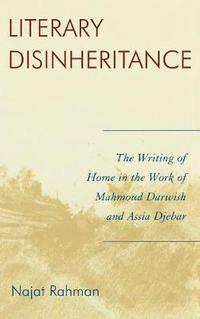 bokomslag Literary Disinheritance