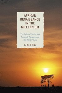 bokomslag African Renaissance in the Millennium