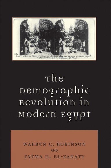 bokomslag Demographic Revolution in Modern Egypt